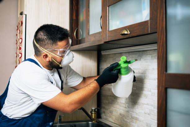 Best Pest Removal Services  in Amityville, NY