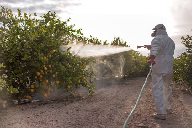 Best Mosquito Control Services  in Amityville, NY