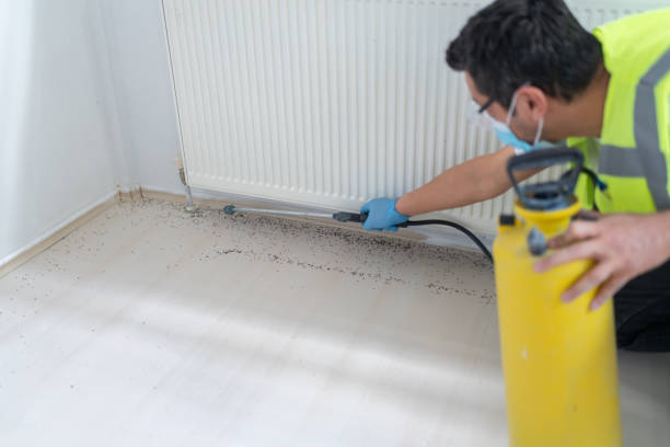 Best Pest Inspection Near Me  in Amityville, NY